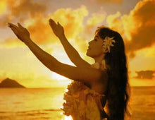 Load image into Gallery viewer, Hawaiian Plumeria Bath Bomb