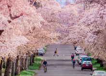 Load image into Gallery viewer, Spring Cherry Blossom Bath Bomb
